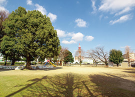 帯山東公園